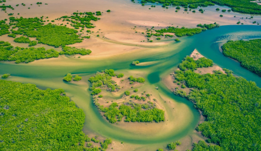SENEGAL, ALLA SCOPERTA DELLA CASAMANCE